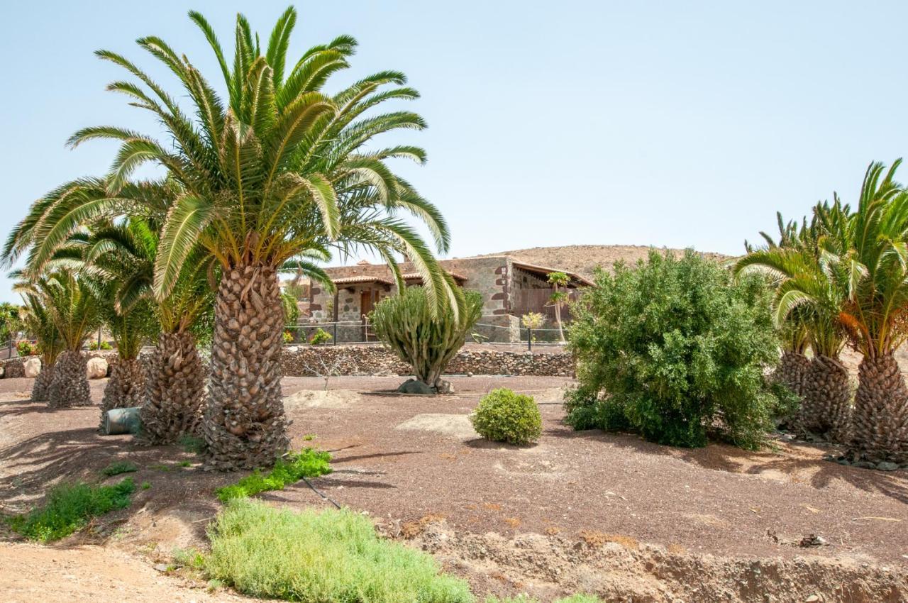 הוילה La Bella Tuineje מראה חיצוני תמונה